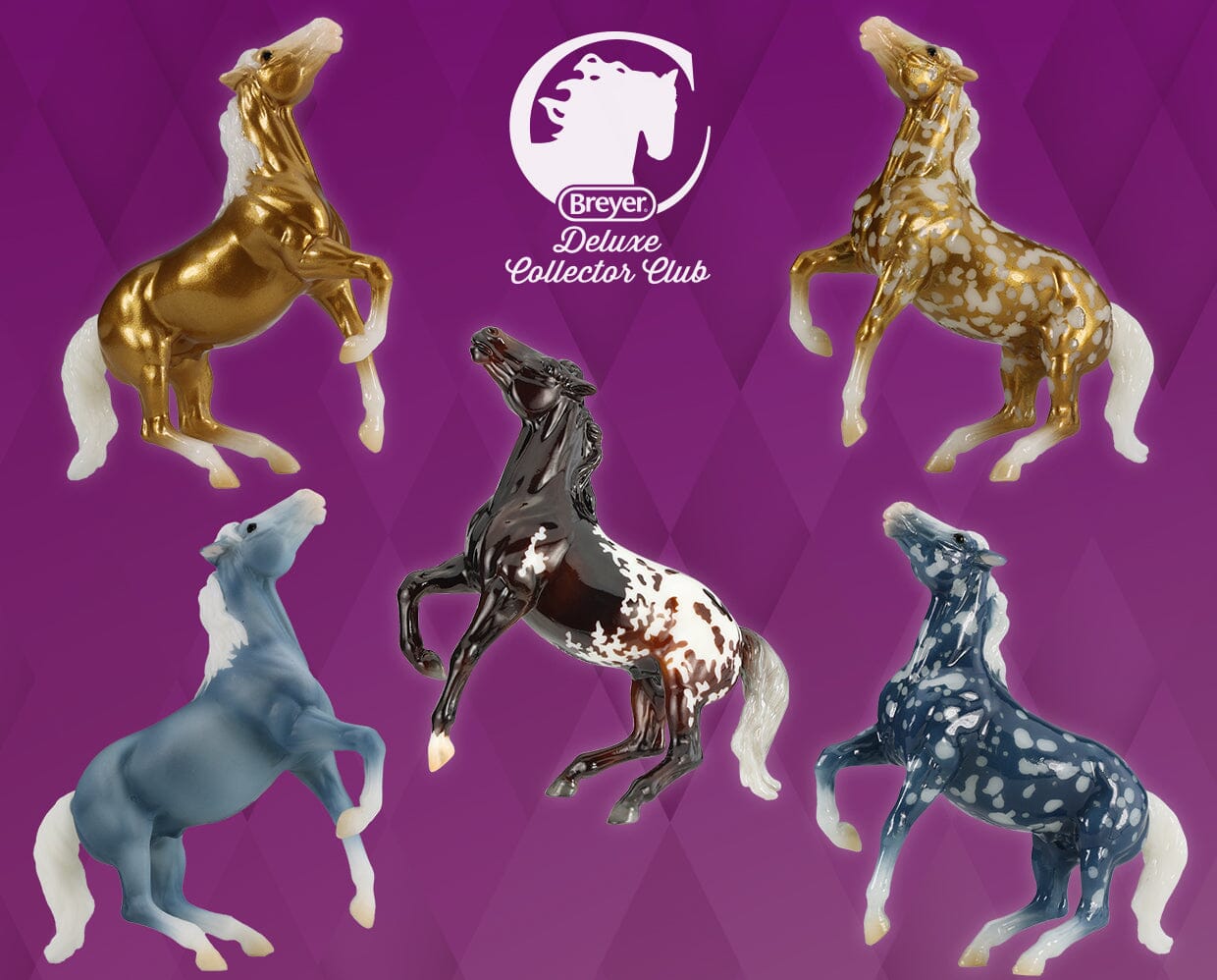 Darius-Deluxe Collectors Club Exclusive-Set of 2 Stablemates-New in Box-Breyer Stablemate