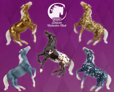Darius-Deluxe Collectors Club Exclusive-Set of 2 Stablemates-New in Box-Breyer Stablemate