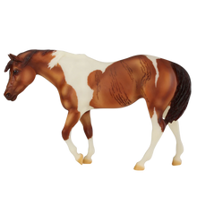 Load image into Gallery viewer, Can&#39;t Hold Us Down-Indian Pony Mold-Breyerfest 2024 Special Run-Breyer Traditional-ADVANCE SALE