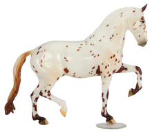 Load image into Gallery viewer, Sorry, Not Sorry-Keltic Salinero Mold-Breyerfest 2024 Special Run-Breyer Traditional-ADVANCE SALE