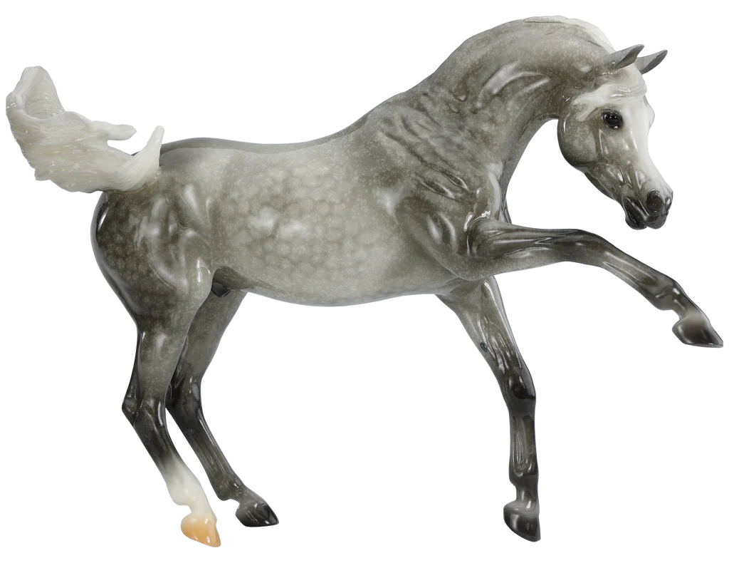 Breyer Horse Traditional Thunder orders on the Ashquar Mold