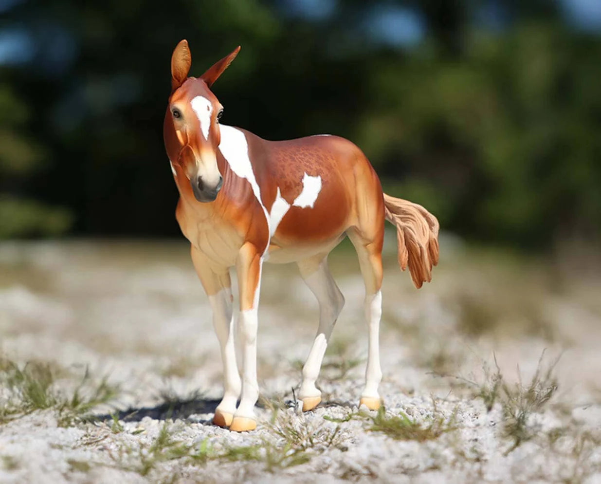 Winifred-Premier Club Exclusive-Breyer Traditional