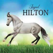 Load image into Gallery viewer, Jaguel Hilton-Criollo Stallion Mold-New in Box-Breyer Traditional-PRE ORDER