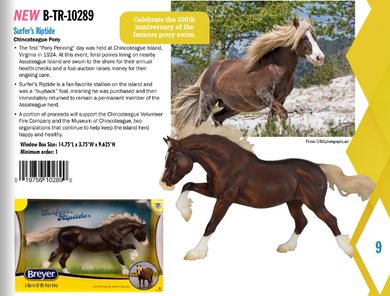 Surfers Riptide-Cantering Welsh Cob Mold-2025 New Release-Breyer Traditional-PRE ORDER