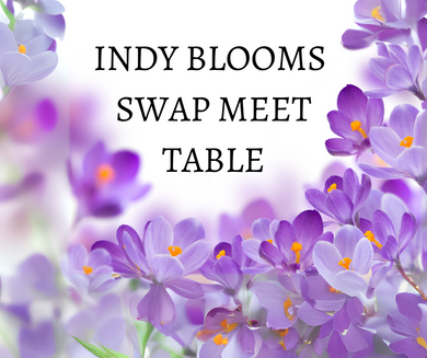 Indy Blooms 2025 Swap Meet Table