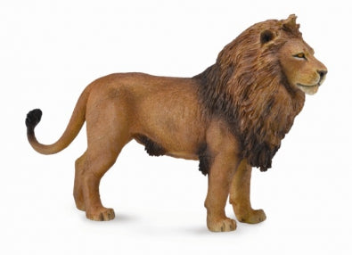 African Lion-#88782-CollectA