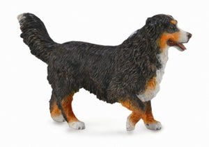 Bernese Mountain Dog-#88801-CollectA