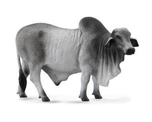Brahman Bull-#88579-CollectA