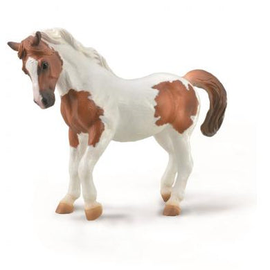 Chincoteague Pony-#88929-CollectA