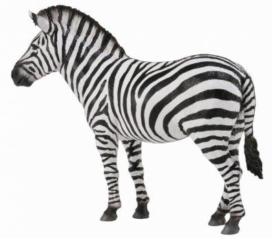 Common Zebra-#88830-CollectA