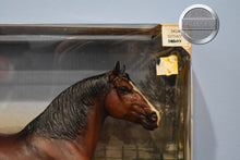 Load image into Gallery viewer, Alba-Tractor Supply Exclusive-Clydesdale Mare Mold-New in Box-Breyer Traditional