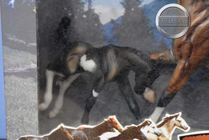 Aguila and Muraco-Wild Mustangs Set-New in Box-Breyer Classic