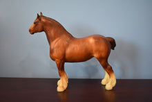 Load image into Gallery viewer, Clydesdale Mare-With Hoof Pads-Breyer Traditional