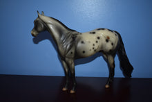 Load image into Gallery viewer, Chief-Appaloosa Ideal Stock Horse Mold-Peter Stone