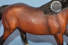 Load image into Gallery viewer, Donner Cross Bred Pony-Haflinger Mold-Breyer Traditional