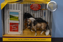 Load image into Gallery viewer, Mystery Foal Surprise Set-New in Box-Breyer Stablemate