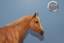 Load image into Gallery viewer, Let Go Riding Collectible Set Horse Only-Stack Horse Mold-Breyer Traditional