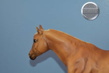 Load image into Gallery viewer, Let Go Riding Collectible Set Horse Only-Stack Horse Mold-Breyer Traditional