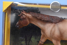 Load image into Gallery viewer, Bet Yur Blue Boons-Roxy Mold-New in Box-Breyer Traditional