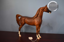 Load image into Gallery viewer, Nakiva-Matte Finish-LE of 140-Arabian Mold-Peter Stone