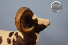 Load image into Gallery viewer, Rodney Ram-Micro Run-Web Special Exclusive-Only 40 Produced-Breyer Traditional