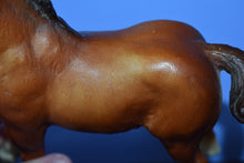 Load image into Gallery viewer, Clydesdale Foal-With Hoof Pads-Breyer Traditional