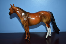 Load image into Gallery viewer, Holiday Horse 2000-Ideal Stock Horse Mold-Glossy-Peter Stone