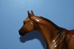 Holiday Horse 2000-Ideal Stock Horse Mold-Glossy-Peter Stone