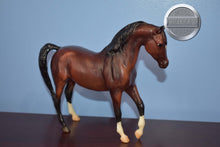 Load image into Gallery viewer, Lets Visit Baby Bay Arabian-Johar Mold-Breyer Classic