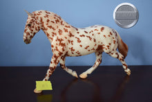 Load image into Gallery viewer, Glossy Leopard Appaloosa RDS #3-Cleveland Bey Mold-Breyerfest Exclusive-Breyer Traditional