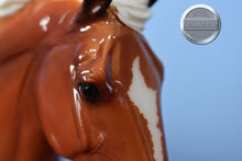 Load image into Gallery viewer, Silver Bay Rotating Draft Surprise #3-GLOSSY-Cleveland Bey Mold-Breyerfest Exclusive-Breyer Traditional