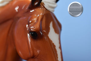 Silver Bay Rotating Draft Surprise #3-GLOSSY-Cleveland Bey Mold-Breyerfest Exclusive-Breyer Traditional