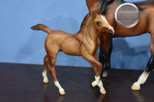 Load image into Gallery viewer, Shaman and Yuma-Mesteno and Andalusian Foal Molds-Breyer Classic