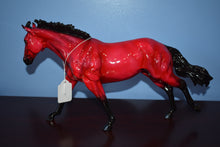 Load image into Gallery viewer, Ruby-Working Stock Horse-Decorator-Loyalty Club Exclusive-Glossy-Peter Stone