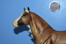 Load image into Gallery viewer, Big Chex to Cash-Smart Chic Olena Mold-Breyer Traditional