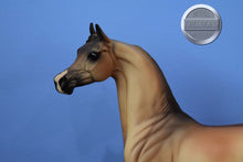 Load image into Gallery viewer, Autumn Knight-Matte Finish-LE of 600-Arabian Mold-Peter Stone