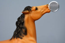 Load image into Gallery viewer, Diablo The Mustang-Semi Rearing Mustang Mold-Breyer Traditional