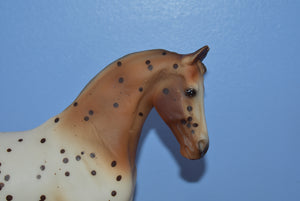 Flabbehoppen Knabstrupper #3-Mistys Twighlight Mold-West Coat Model Horse Collectors Jamboree-Breyer Traditional