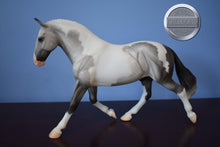 Load image into Gallery viewer, Matte Grey/White Paint RDS #2-Breyerfest Exclusive-Breyer Traditional