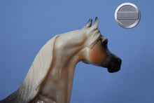 Load image into Gallery viewer, Winterhawke-Glossy Finish-Snip Version-Arabian Mold-Peter Stone