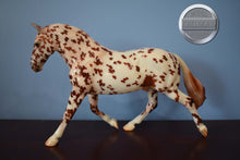 Load image into Gallery viewer, Glossy Leopard Appaloosa RDS-Breyerfest Exclusive-Breyer Traditional