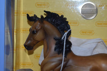 Load image into Gallery viewer, Hobo-Mustang with Book-New in Box-Silver Mold-Breyer Traditional