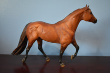 Load image into Gallery viewer, Guy McLeans Nugget-Stock Horse Stallion Mold-Breyer Traditional