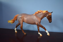 Load image into Gallery viewer, Roan Seven Arts Surprise-Matte-Breyerfest Special Run Exclusive-Breyer Traditional
