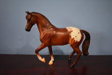 Load image into Gallery viewer, Chestnut Appaloosa-Warmblood Stallion Mold-Breyer Classic