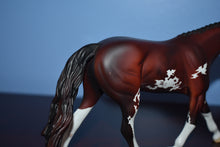 Load image into Gallery viewer, Equilocity 2006 Trophy Model-Pebbles Warmblood-Matte-Peter Stone