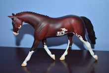 Load image into Gallery viewer, Equilocity 2006 Trophy Model-Pebbles Warmblood-Matte-Peter Stone