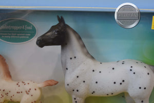 Spotted Wonders-Standing Thoroughbred and Warmblood Foal Mold-Breyer Classic