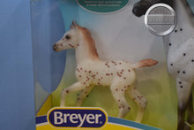 Load image into Gallery viewer, Spotted Wonders-Standing Thoroughbred and Warmblood Foal Mold-Breyer Classic