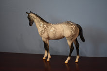 Load image into Gallery viewer, Adobe II??-Dapple Grey Weanling-Peter Stone